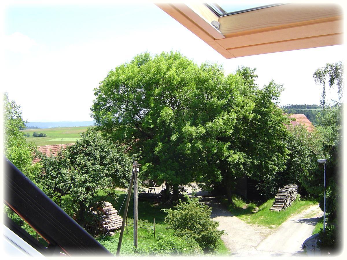 Gasthof Hotel Traube Oberndorf am Neckar ห้อง รูปภาพ